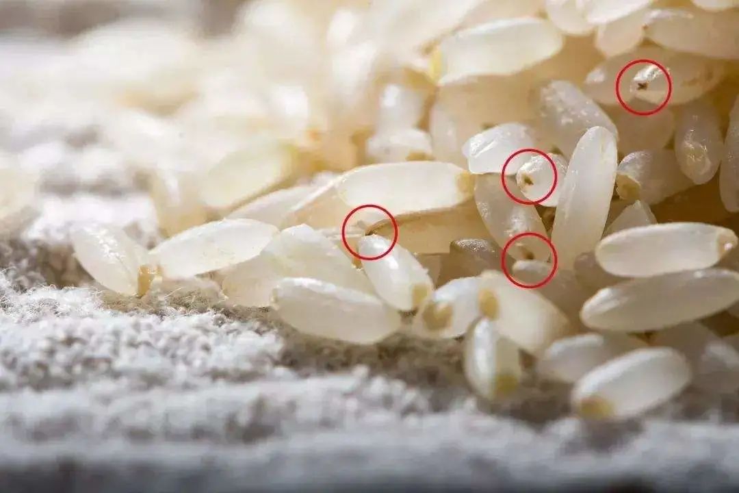 买大米,不管什么牌子,只要包装袋上没这一行字,聪明人转身就走!