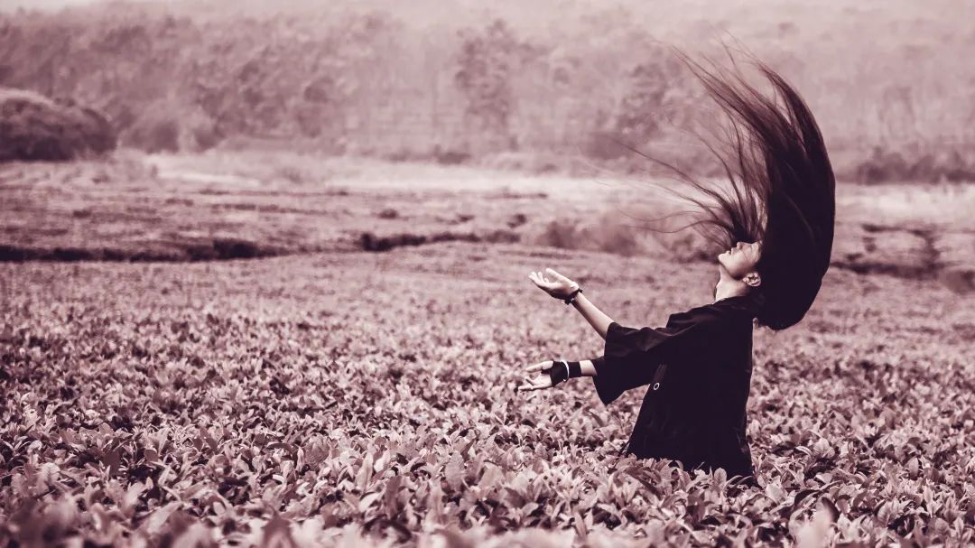 神级高手齐聚小镇，陶身体起舞“画圆”，这个秋天有你好看！休闲区蓝鸢梦想 - Www.slyday.coM