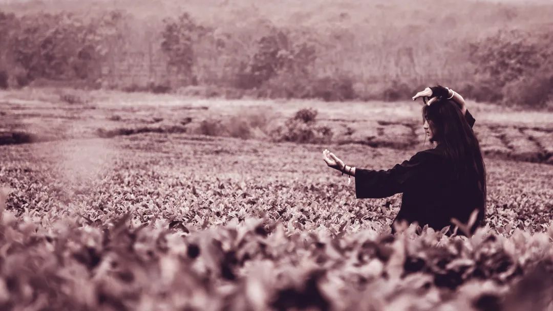 神级高手齐聚小镇，陶身体起舞“画圆”，这个秋天有你好看！休闲区蓝鸢梦想 - Www.slyday.coM