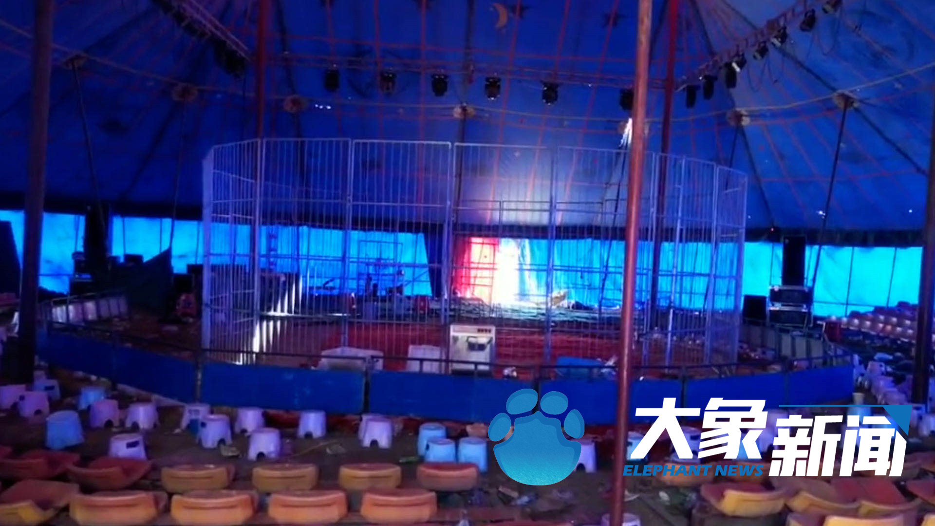 北青网综合|马戏团驯兽师回应被黑熊咬数分钟：没牙 从小就锯掉了