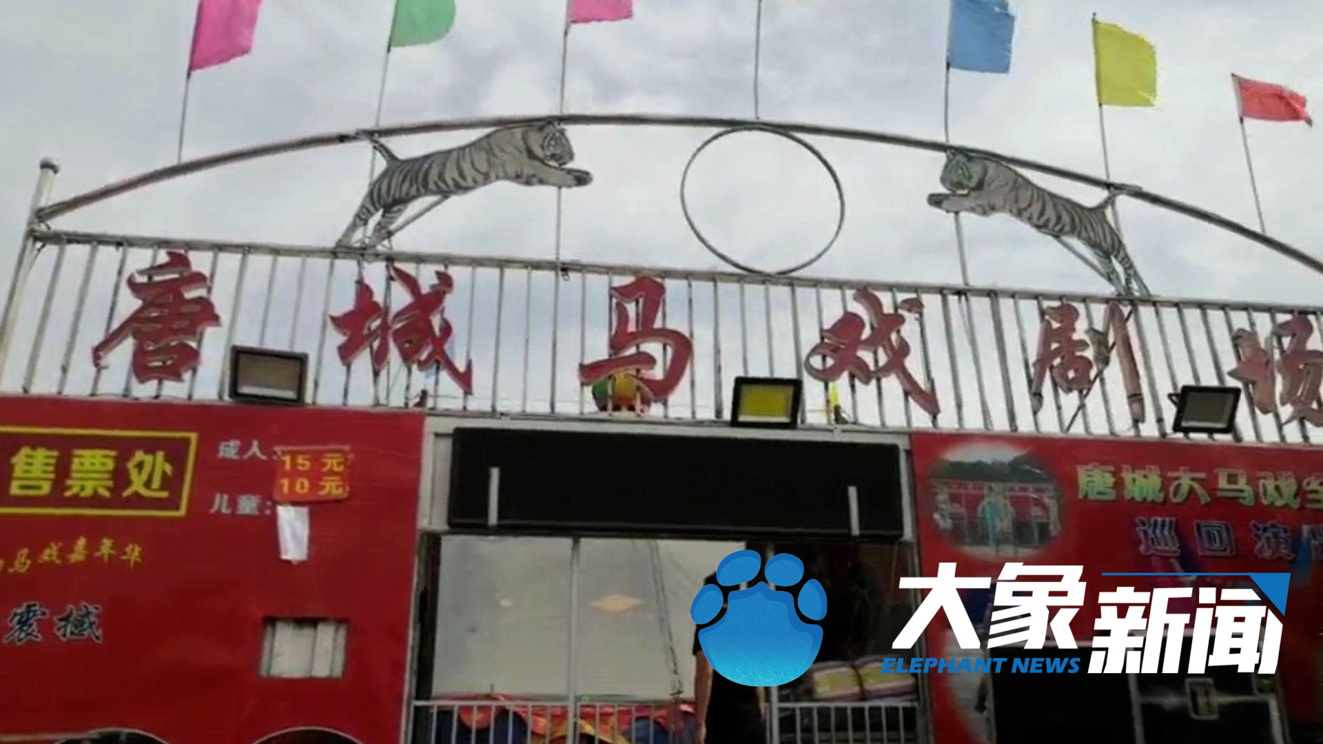 北青网综合|马戏团驯兽师回应被黑熊咬数分钟：没牙 从小就锯掉了