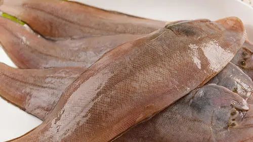 是不是一头雾水,玉秃鱼是什么鱼?看了就知道.原创 波塞超 淘最厨房