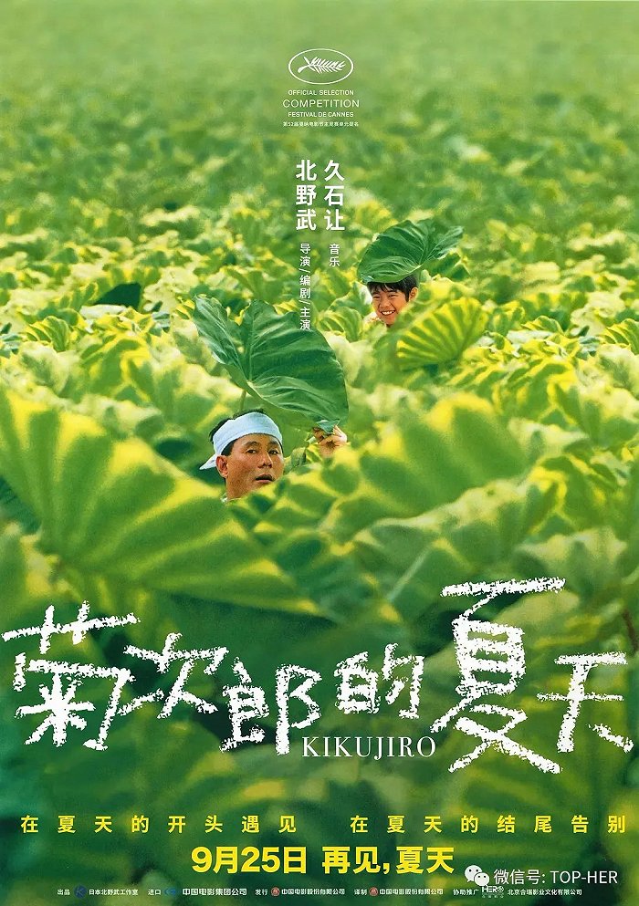 推荐书籍北野武志系列 体验 成人的夏天 北野武 菊次郎的夏天 新浪科技 新浪网 推荐书籍北野武志系列 体验 成人的夏天 北野武 菊次郎的夏天 新浪科技 新浪网