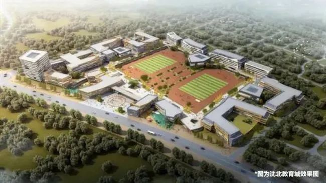 全国小学校排名2020_唐山3所“黄金小学”,能在这里上学,就是(2)