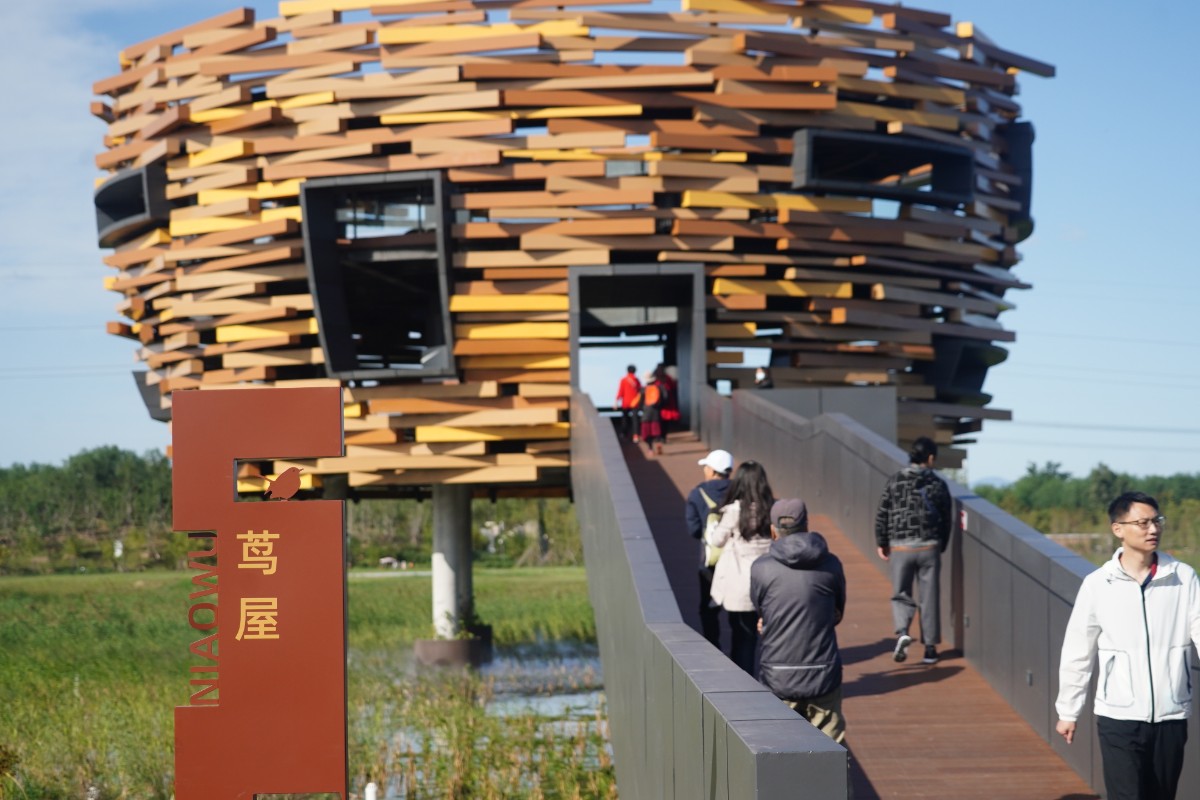 湖面上,周边是茂盛的苍茫芦苇丛,游客可经步道走入其中休憩纳凉,观鸟