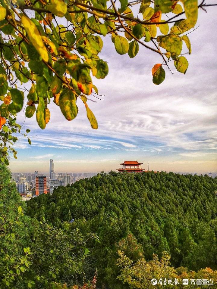 秋见好时光|金秋时节清晨的济南英雄山风景区,景色宜人绚烂多姿