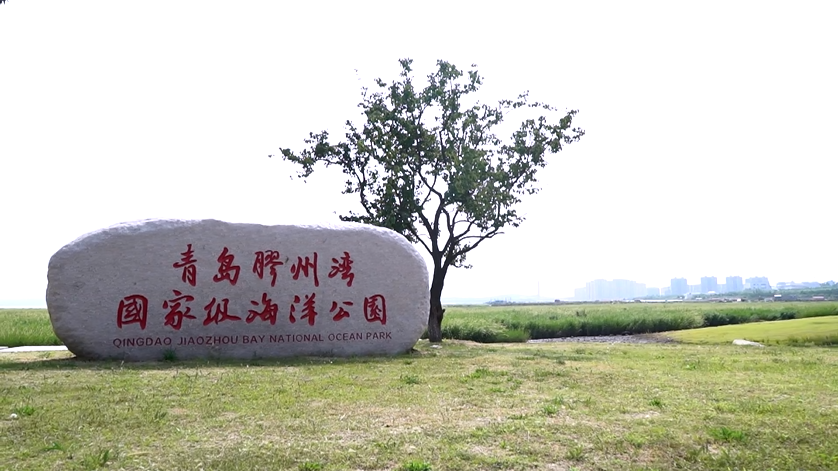 半封闭海湾国家级海洋公园也是全国最大的第二处国家级海洋公园西海岸
