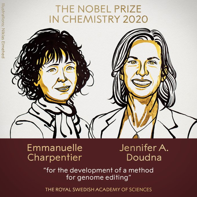  2020年诺贝尔化学奖授予埃曼纽尔·卡彭蒂耶（Emmanuelle Charpentier）和詹妮弗·杜德纳（Jennifer A.Doudna）