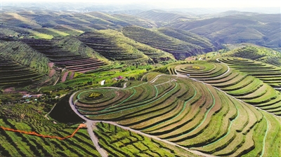 宁夏彭阳:小流域治理 绘出美丽新画卷