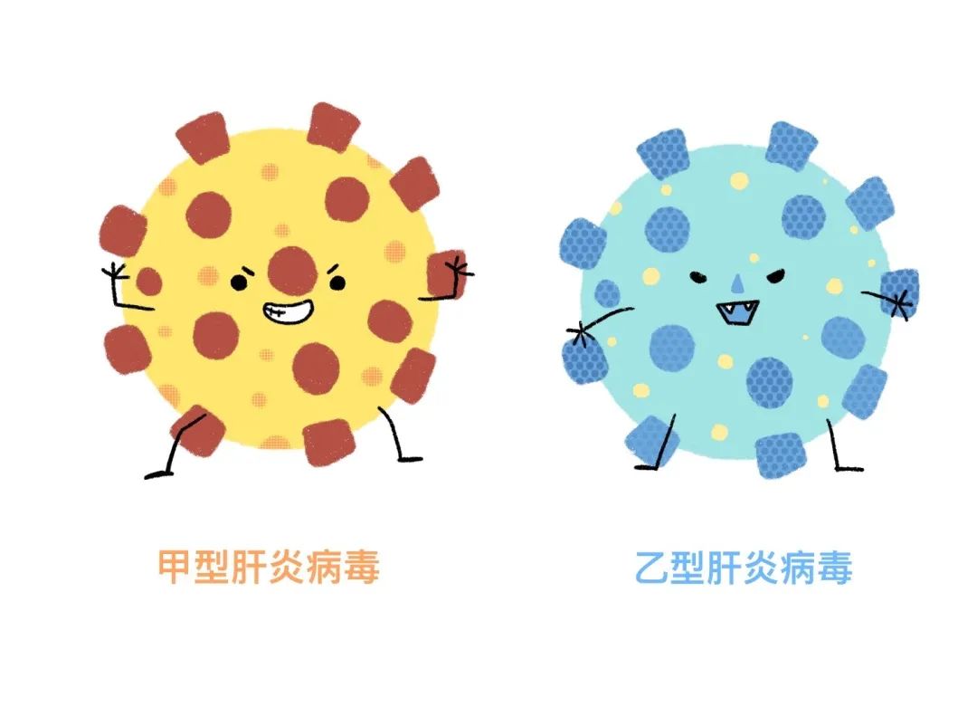 峰回路转三大丙肝侦探的接力缉凶记全丨直击诺奖