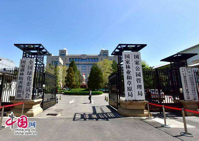 群众举报吉林长岭县毁林毁草 国家林草局：违法行为已处理