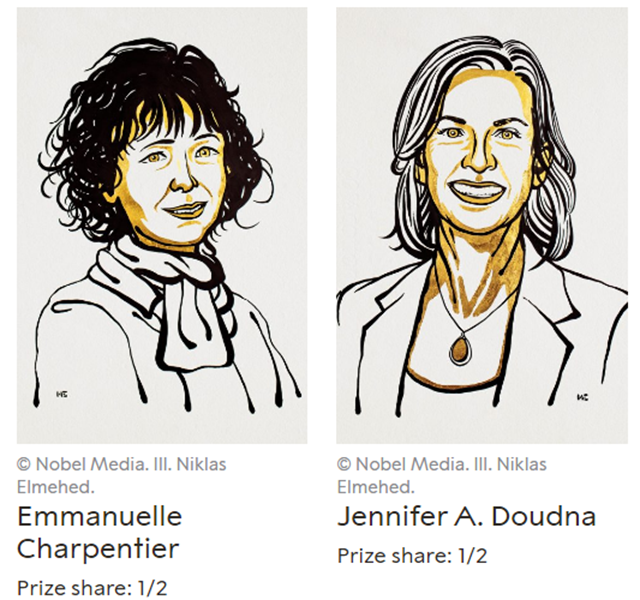 当红“基因魔剪”斩获诺奖 相关公司股价大涨但挑战犹存