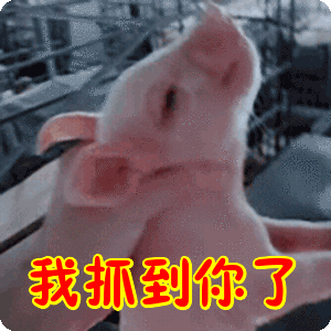 网友拍照举报!交警处罚来了