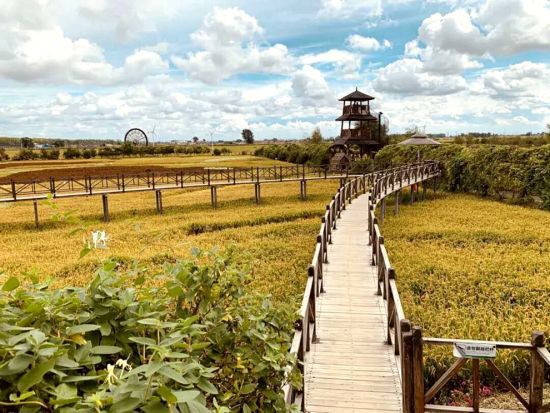 沈北新区:神笔马亮当第一书记的美丽乡村