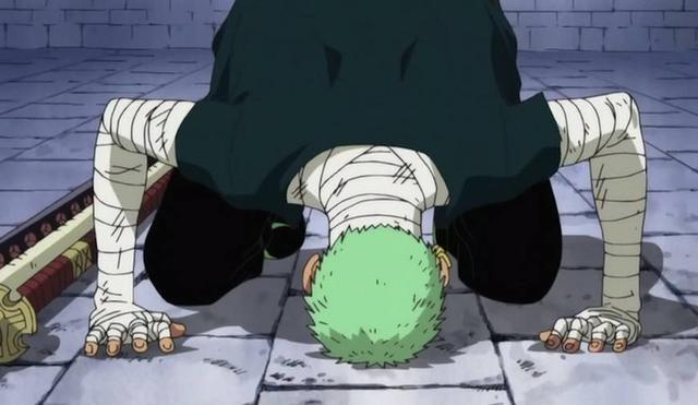 海贼王里的6次下跪,藤虎下跪向德岛人民道歉,索隆下跪为了变强