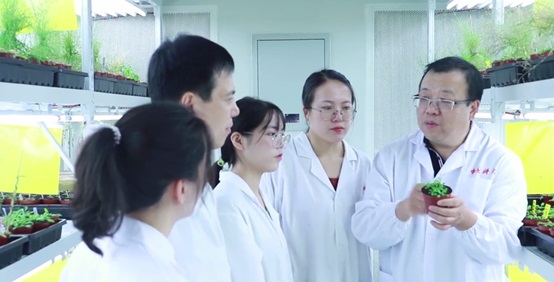 科学探索|中国科学家发现植物干细胞广谱抗病毒机制