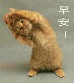 早安喵,突然卖萌.早安,大哥早安,早安早安,早安,佩琪.