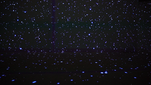 480_270gif 动态图 动图