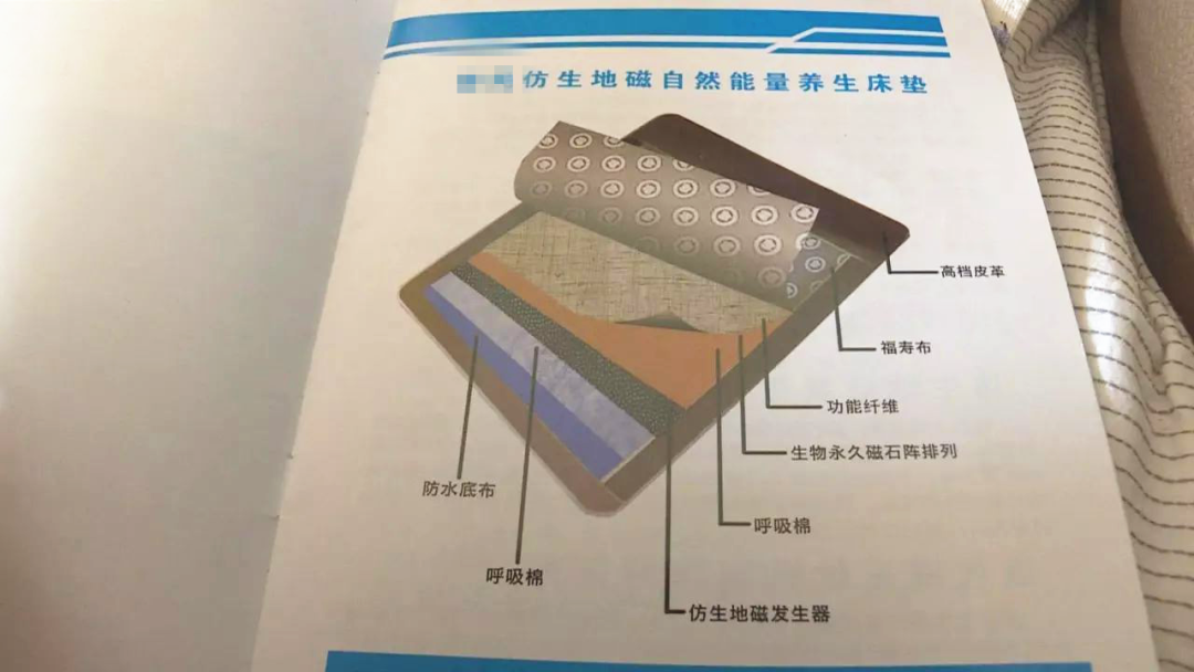 1款"仿生地磁能量养生床垫"