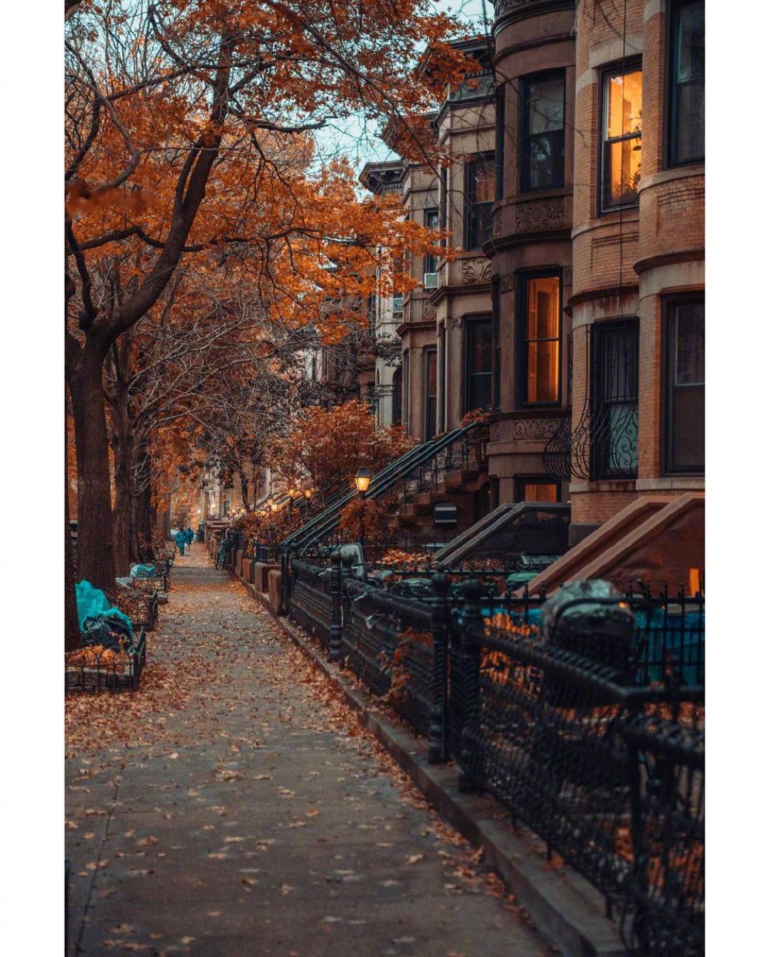 秋天,也许就藏在某个街角 ins:jacobsantiago