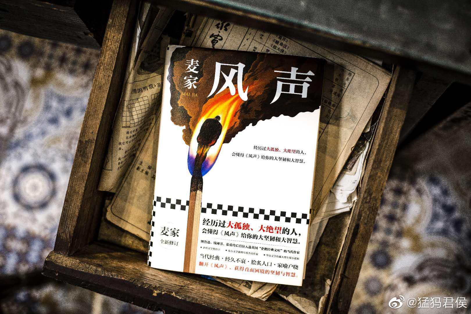 风声茅盾文学奖得主人生海海作者麦家代表作