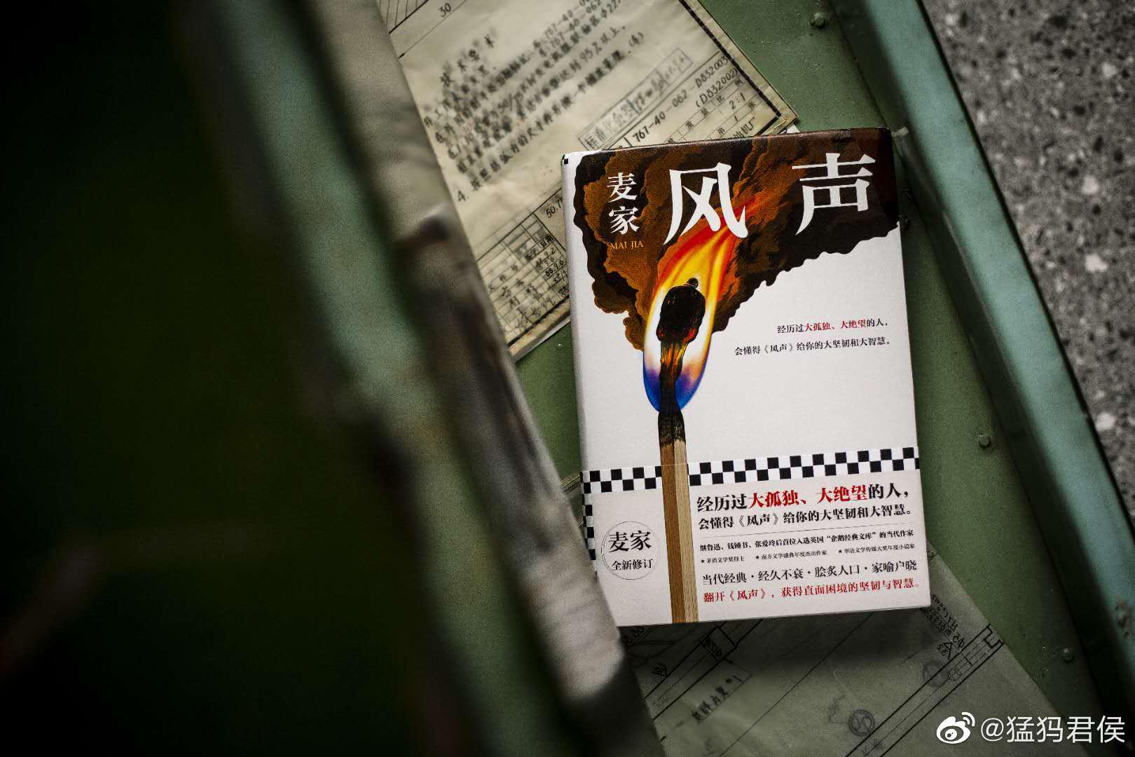 风声茅盾文学奖得主人生海海作者麦家代表作