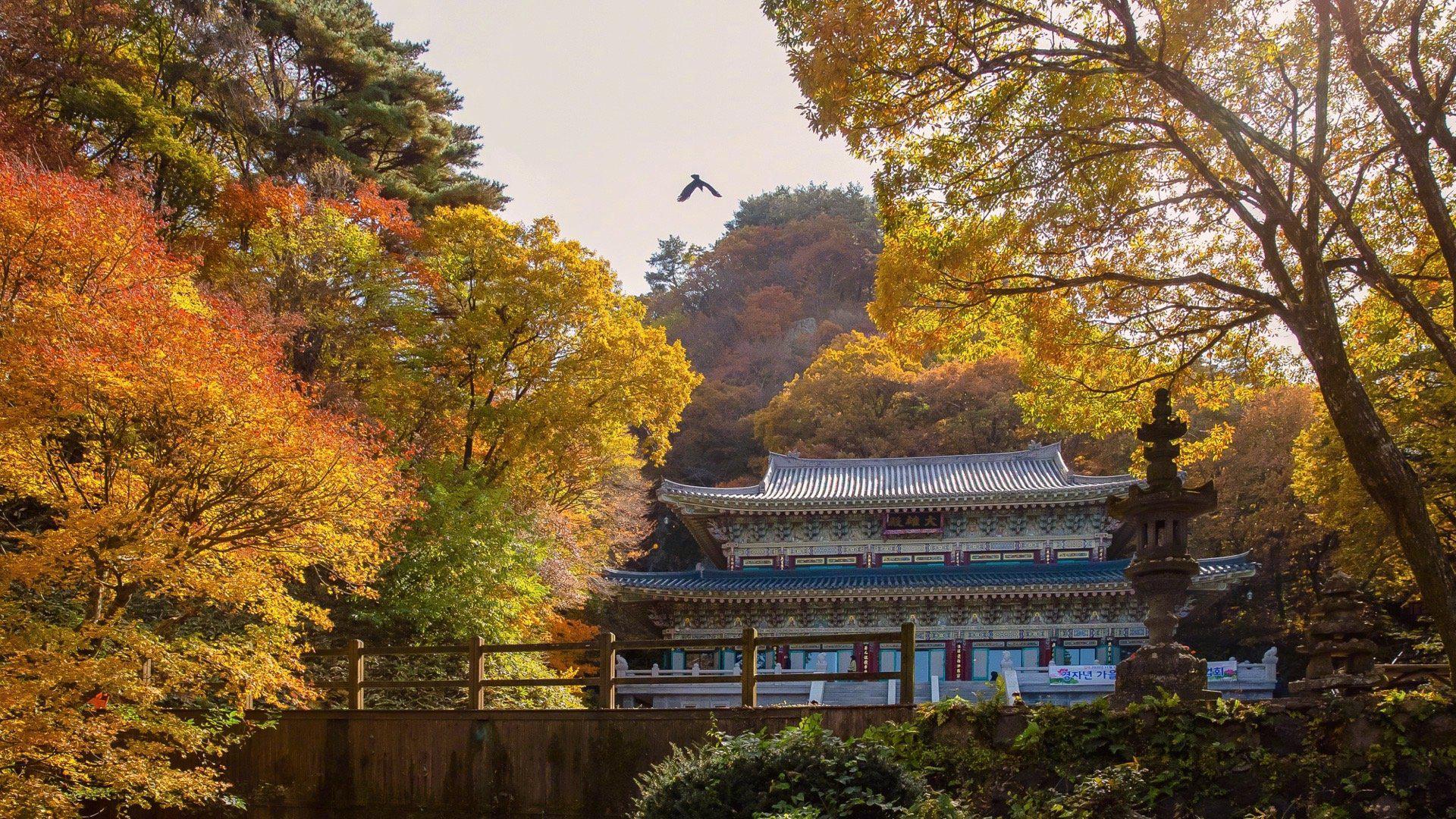 隐藏在山中的安静小寺天王寺()