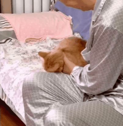 小猫咪能有多双标?铲屎官：反正我想离家出走了……休闲区蓝鸢梦想 - Www.slyday.coM