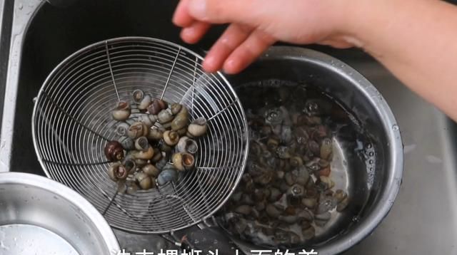 大厨烧小公鸡加了一把大纵湖的白螺蛳,鸡鲜螺蛳肥,太鲜了!