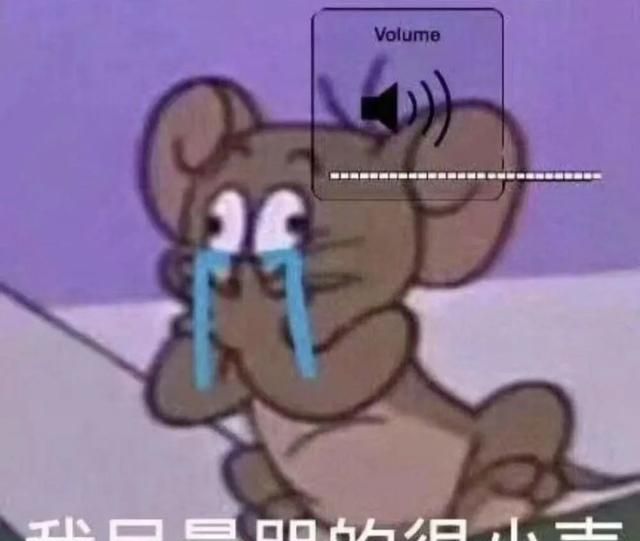 小猫咪能有多双标?铲屎官：反正我想离家出走了……休闲区蓝鸢梦想 - Www.slyday.coM