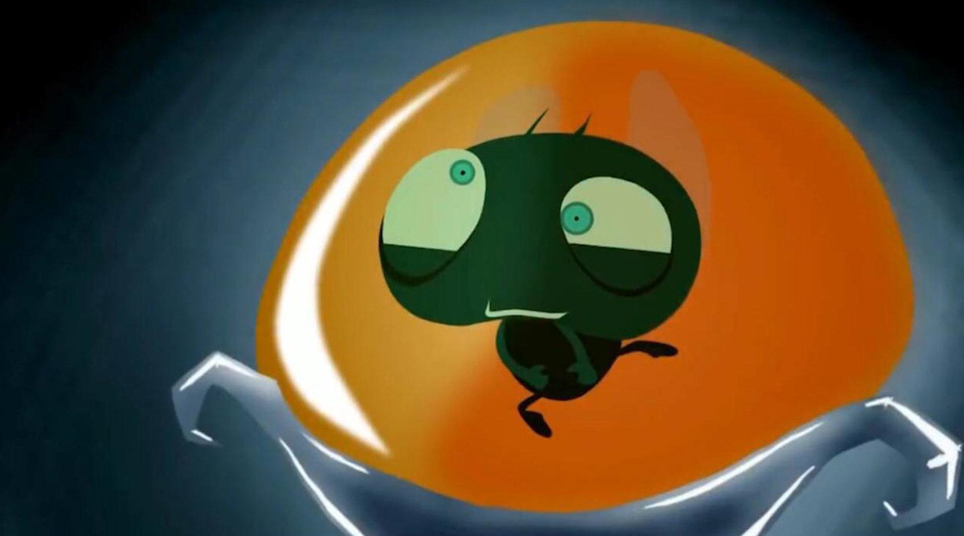 《苍蝇分钟的生命》苍蝇的生命只有一分钟