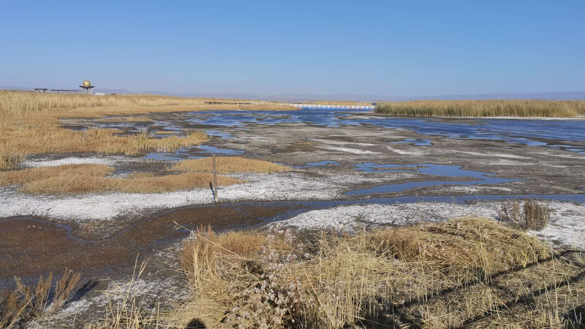 凉城网站SEO优化服务