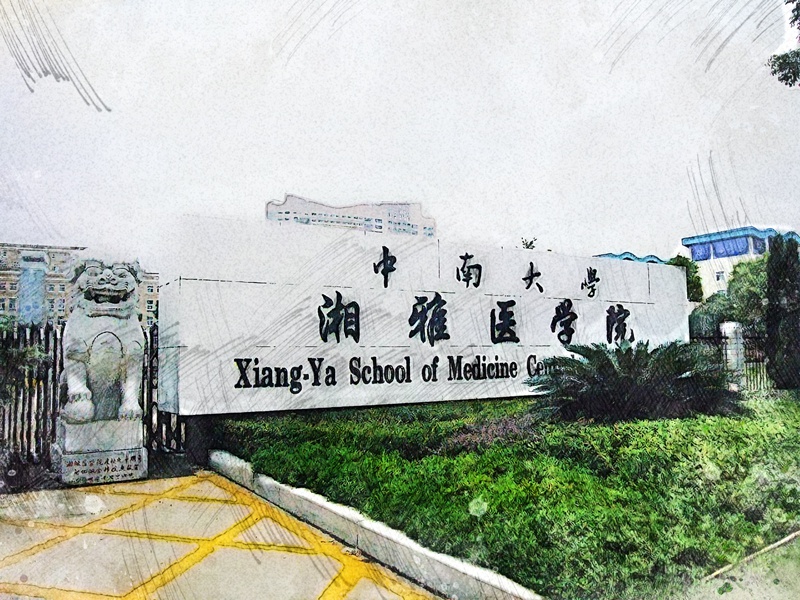 北协和,南湘雅,东齐鲁,西华西,"学医治病"到底哪家院校更强