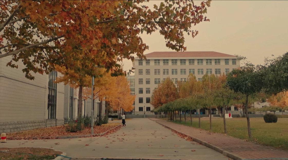 寻找最美校园秋景 |北京城市学院航天城校区