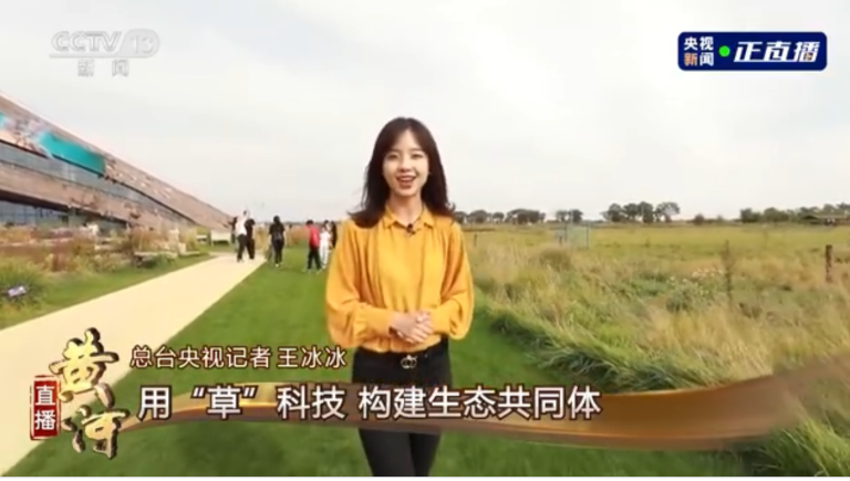 央视记者王冰冰被在线求婚到系统崩溃，学生满屏都是表白和夸赞休闲区蓝鸢梦想 - Www.slyday.coM