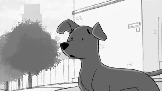 超感人催泪动画短片狗狗讲述一只流浪狗在城市里四处闯祸引来了所有人