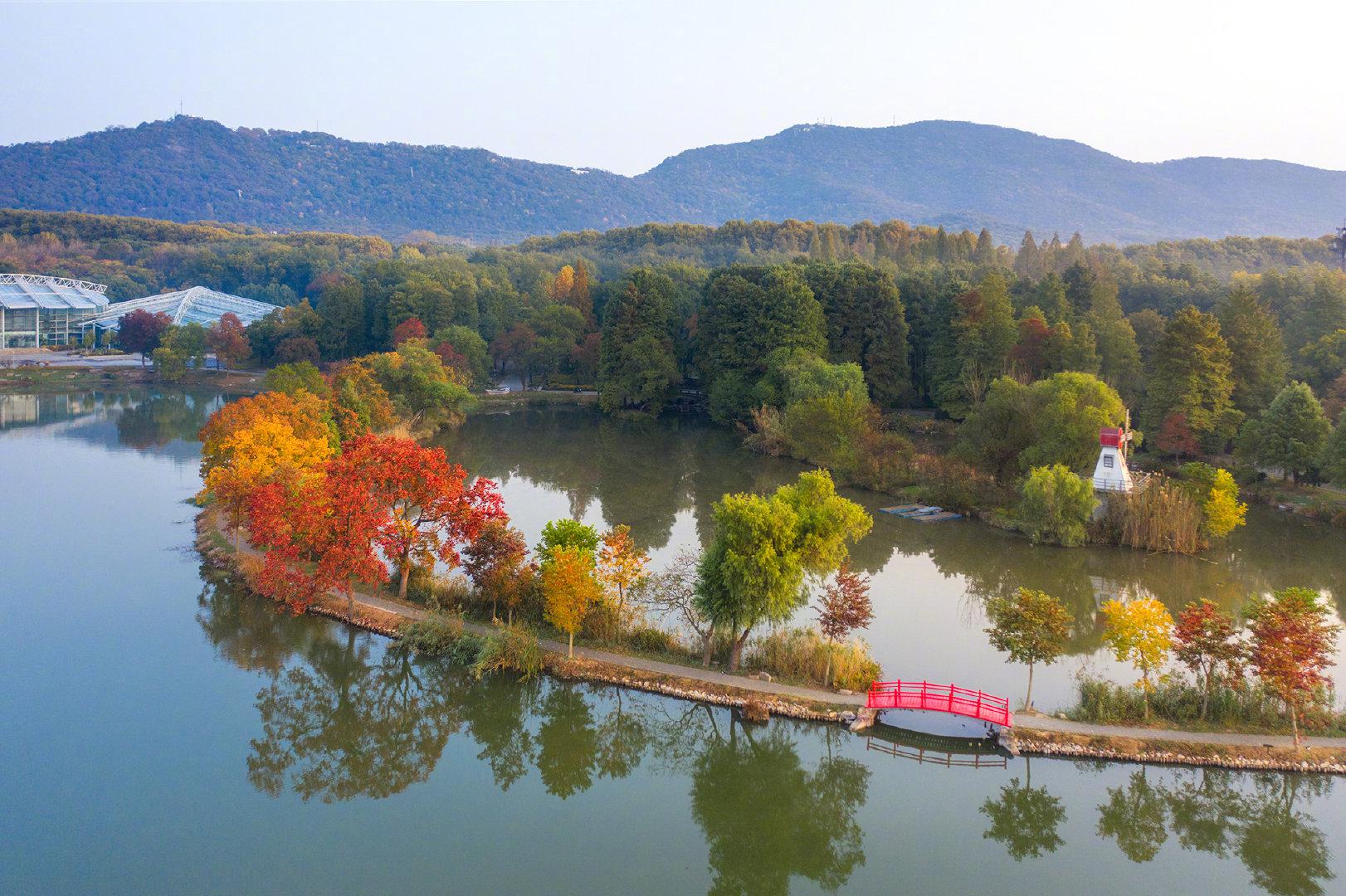 南京·前湖 晨曦中的南京前湖宛如蒙纱的女子