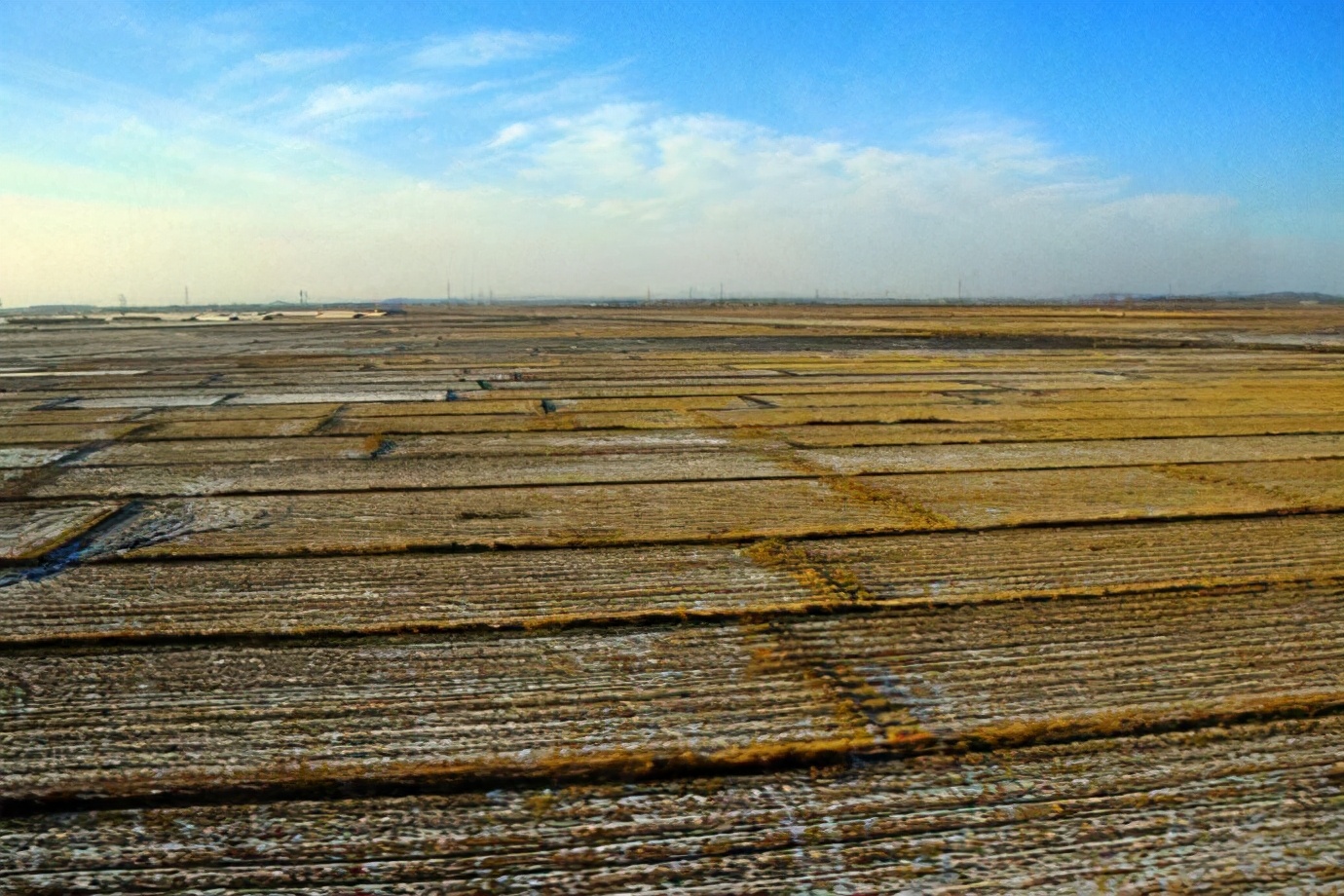 会觉得,东北那边太冷了,不是很种植农作物,因此东北平原的价值不高?