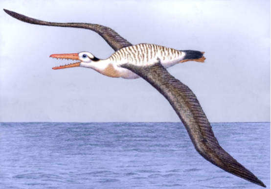 当时南极洲气候温暖,成为避难天堂|天堂|齿鸟|南极洲_新浪新闻