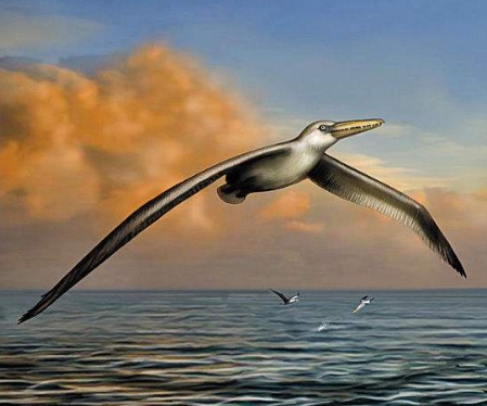 当时南极洲气候温暖,成为避难天堂|天堂|齿鸟|南极洲_新浪新闻