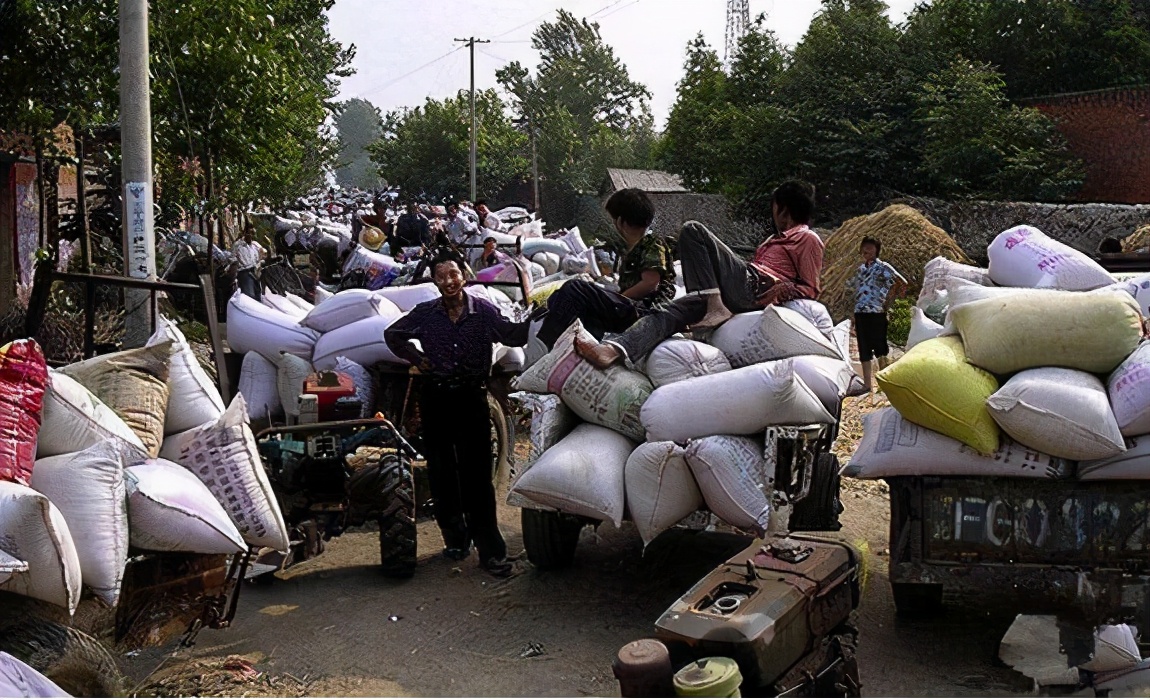 农民以前交的公粮能当社保吗?专家:一码归一码!这事你怎么看?