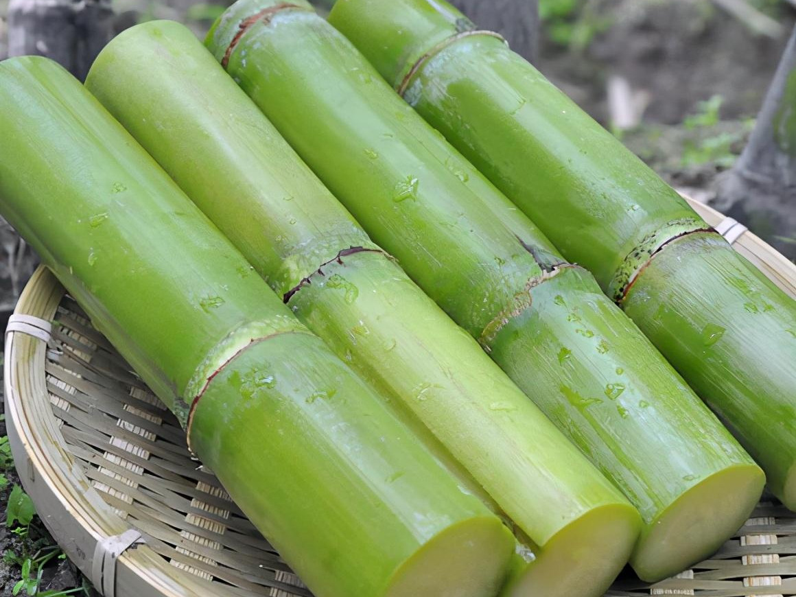 买甘蔗时,应该挑选紫皮还是绿皮?果农告诉你实情,买错很难下咽