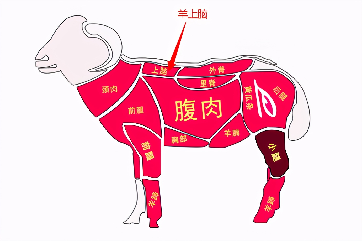 买羊肉时专挑4个部位选很多人买错摊主来买的都是行家