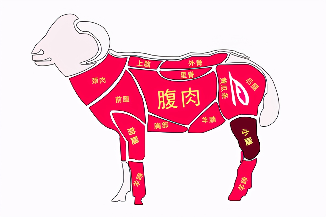 买羊肉时专挑4个部位选很多人买错摊主来买的都是行家