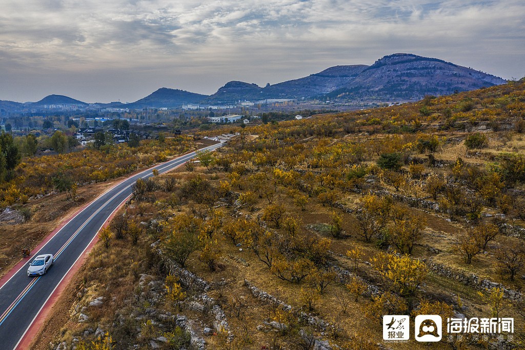 枣庄:榴园绿道周边层林尽染