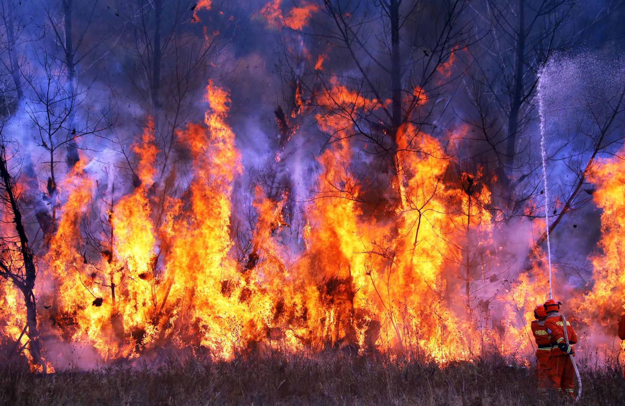 甘肃举行重特大森林火灾灭火演习,首次动用移动卫星通讯装备