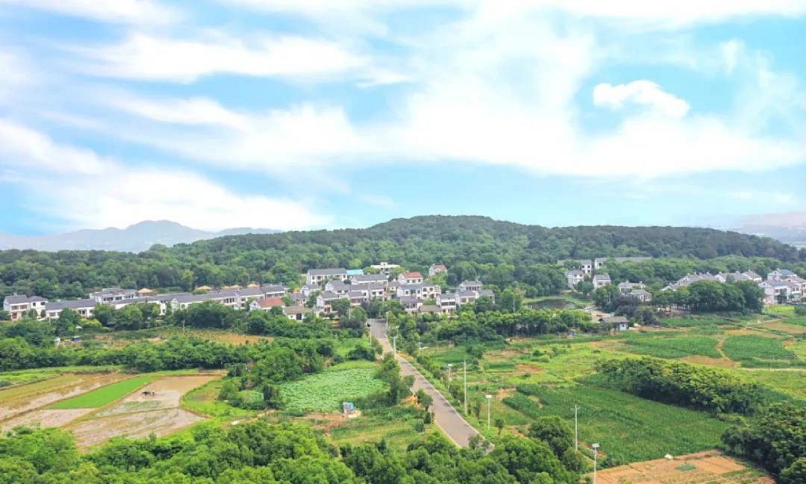 蔡甸seo排名技术