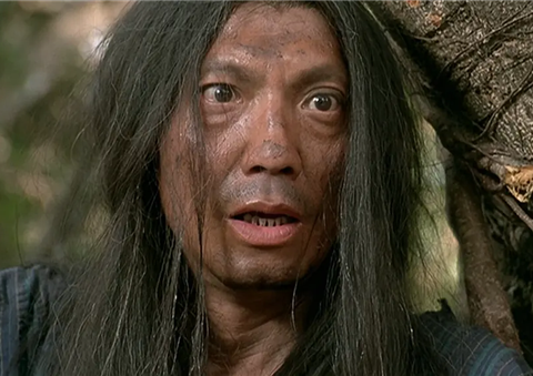 后者袁祥仁客串洪日庆,并身兼武指与副导演,是苏乞儿崛起的重要人物.