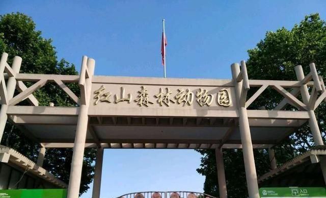 南京旅游红山森林动物园指南不完整