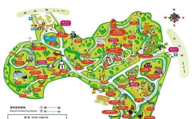 南京旅游红山森林动物园指南不完整